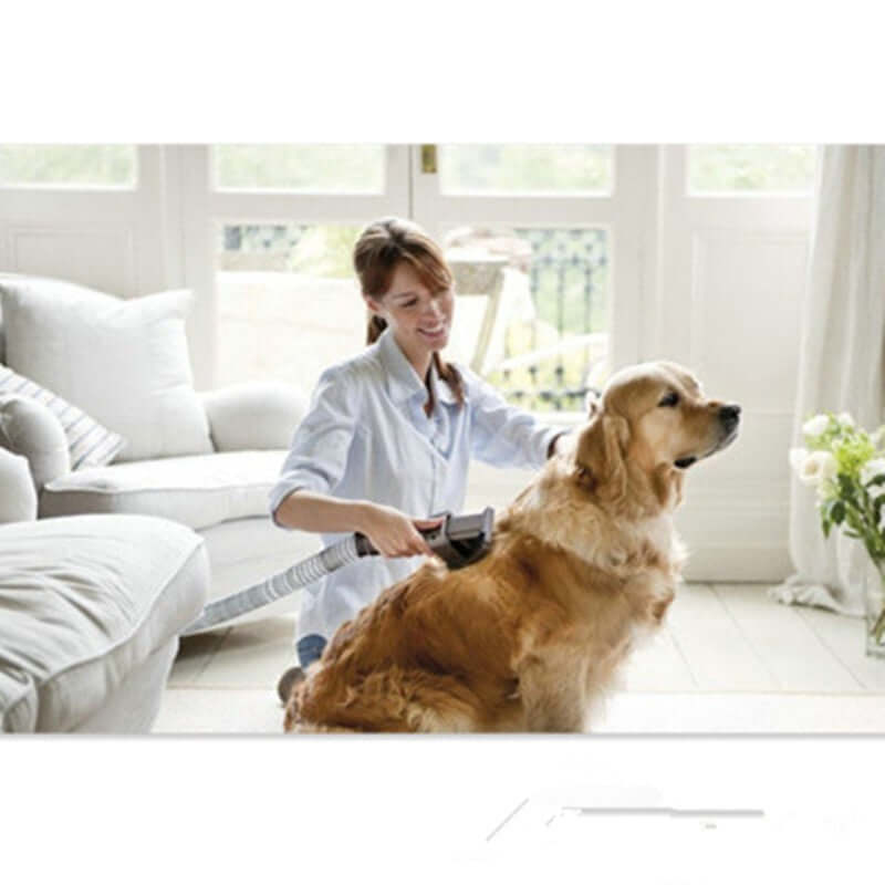 🐾 Woman using a pet grooming brush vacuum on a golden retriever at home, enjoying mess-free grooming and cleanup!